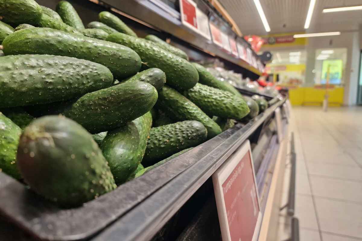 Šviežių žalių agurkų dėžė prekybos centro vaisių ir daržovių skyriuje.